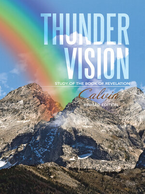 cover image of Thunder Vision